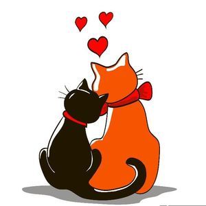 Meet your Posher, Kathi